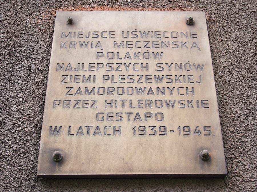 A Polish Journey, Pleszew, WW2,