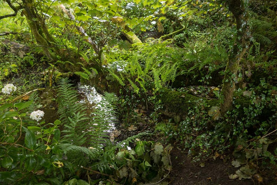 julian, konczak, photography, cornwall, coast path, west penwith