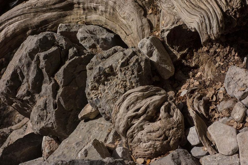 julian, konczak, photography, crete, geece, greek island, through the gorge