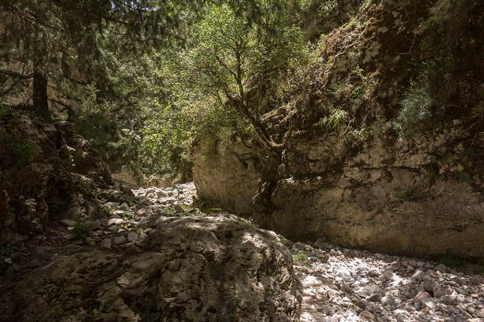 julian, konczak, photography, crete, geece, greek island, through the gorge