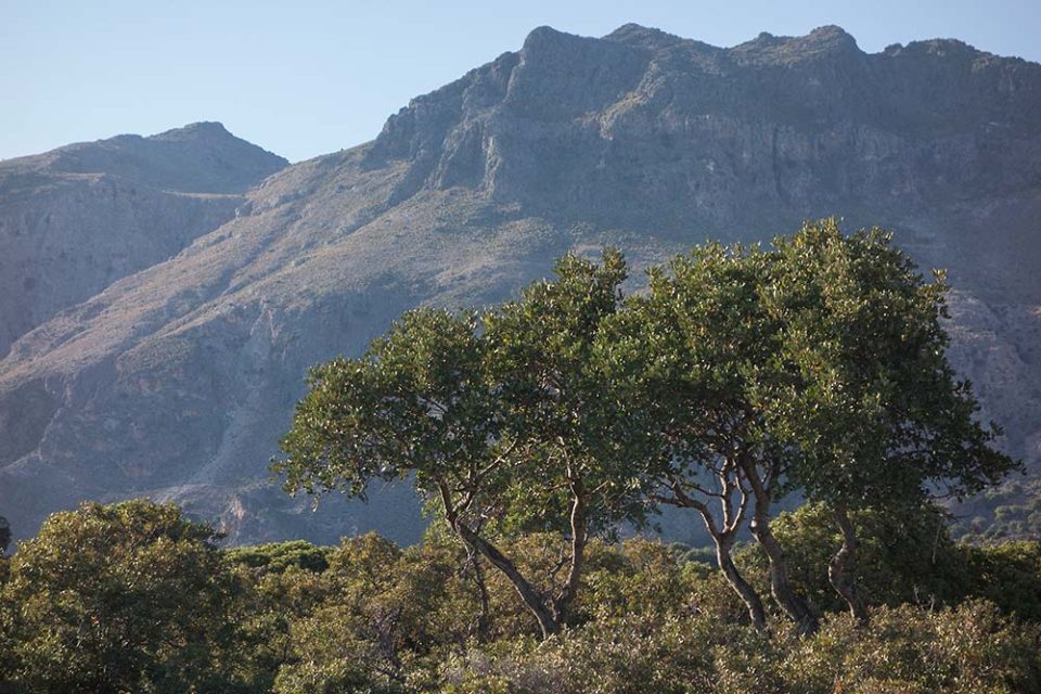 julian, konczak, photography, crete, geece, greek island, through the gorge