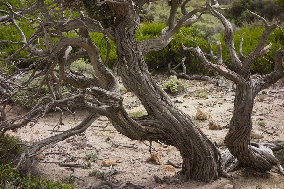 julian, konczak, photography, crete, the pursuit of paradise